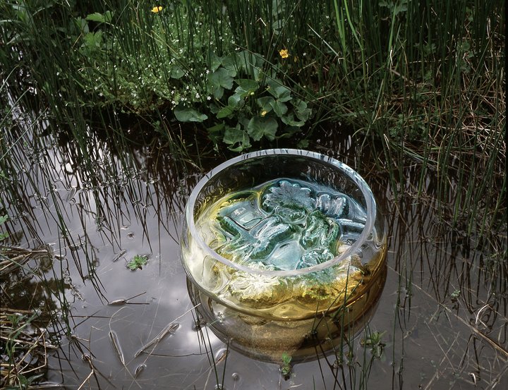 Wednesday, Collections, Studio Tord Boontje