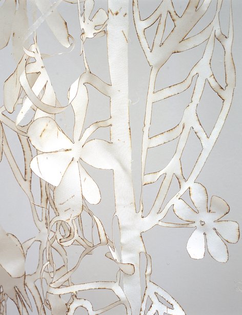 Wednesday, Collections, Studio Tord Boontje
