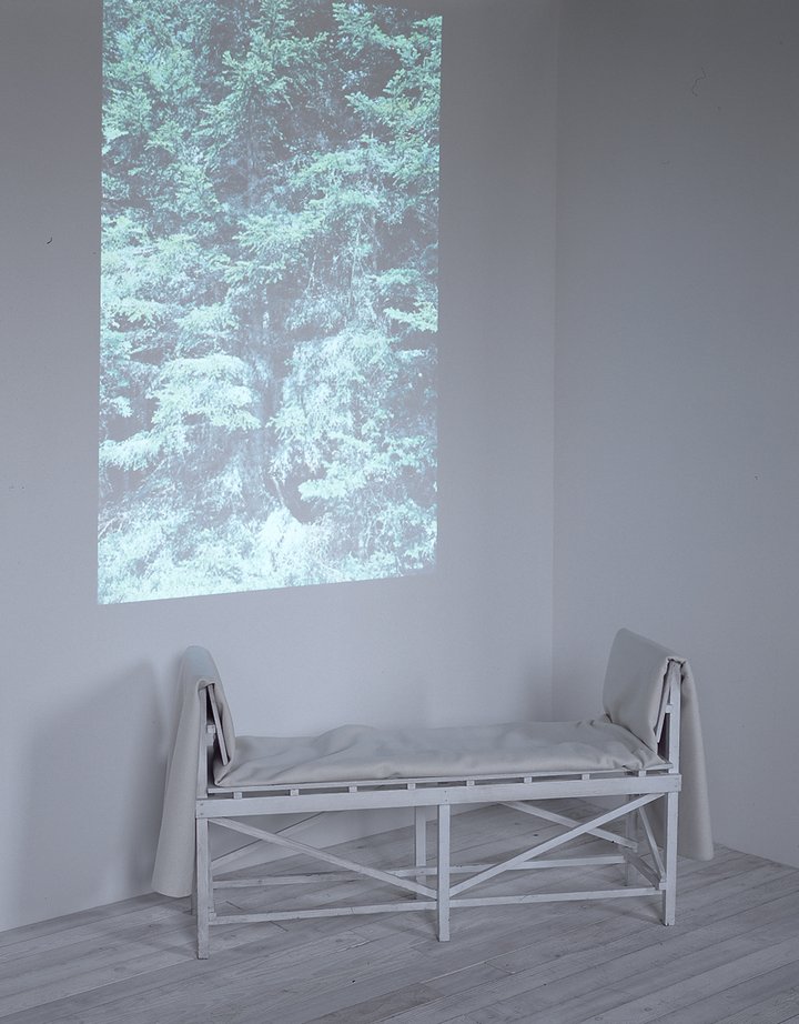Wednesday, Collections, Studio Tord Boontje