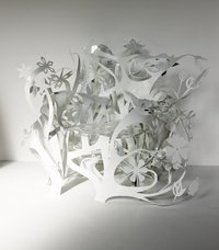 Studio: Petit Jardin