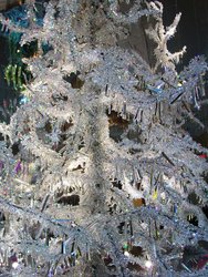Installations: Silent Light