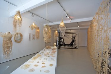 Installations: The Lacemaker