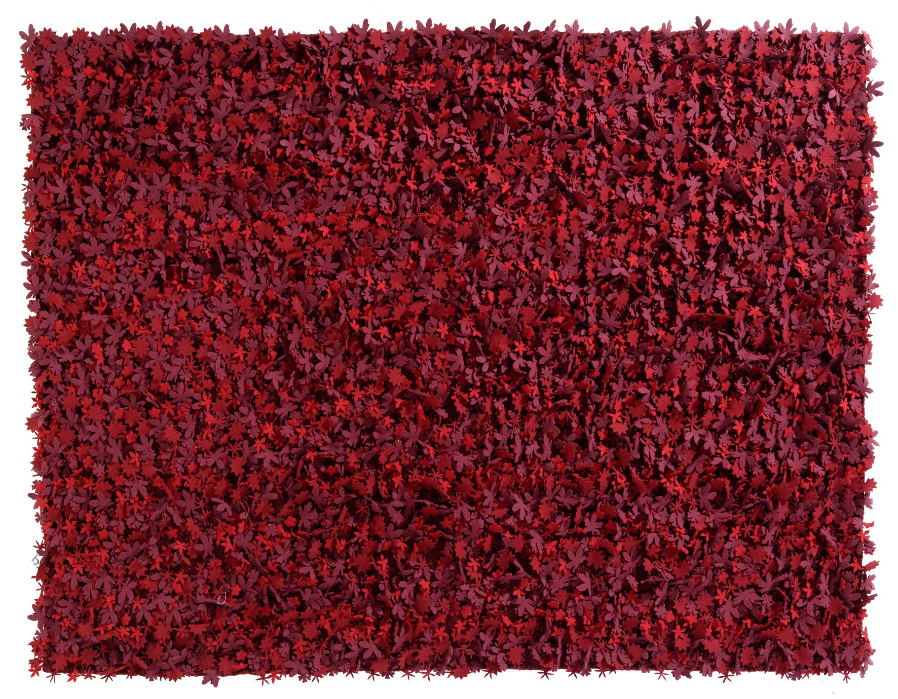 Little Field of Flowers